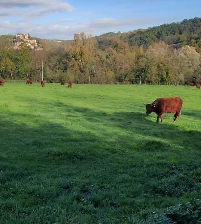 Vila Le Cocon Beaujolais Chatillon  Exteriér fotografie