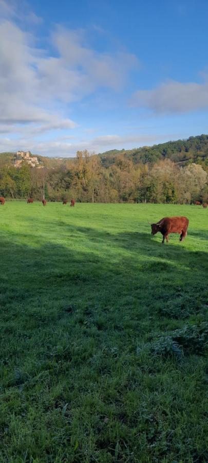 Vila Le Cocon Beaujolais Chatillon  Exteriér fotografie