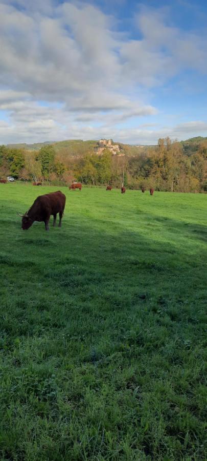 Vila Le Cocon Beaujolais Chatillon  Exteriér fotografie